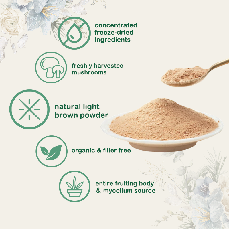 lion's mane mushroom powder